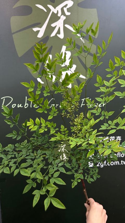 image_00E1FE88-7C3A-4CFF-876E-1A31A09C1E7B_1776312725