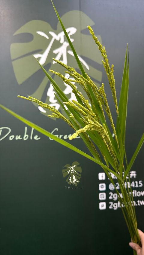 image_FE23634A-930F-442C-965C-E50104A0BD5A_1776312770