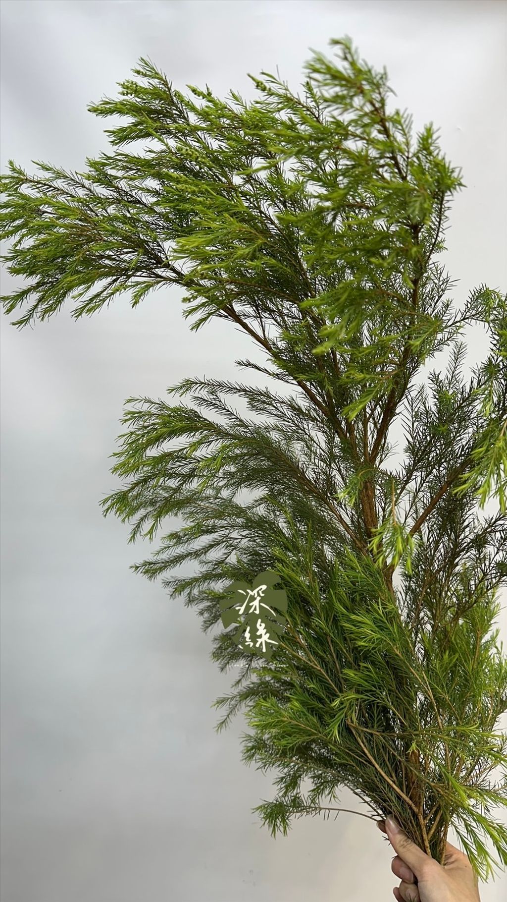 image_C06AAAB6-EEA8-483D-91B2-9D55694C7508_1776549025