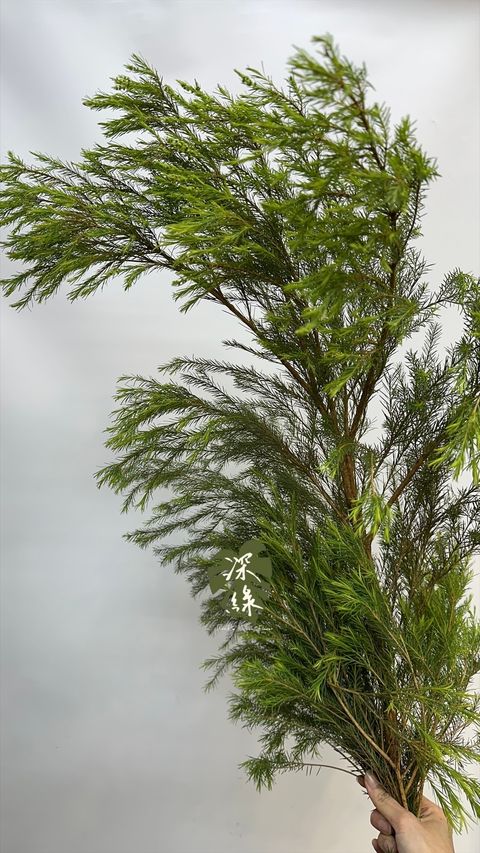 image_C06AAAB6-EEA8-483D-91B2-9D55694C7508_1776549025