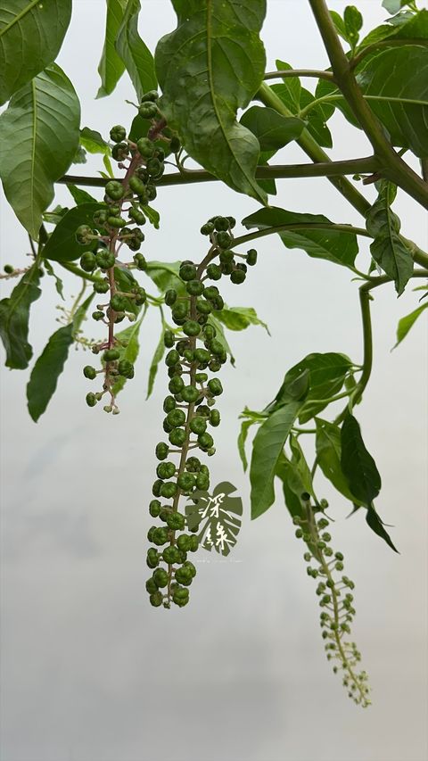 image_93A44D37-4D9F-4F0E-B121-8419D03222FB_1776549215