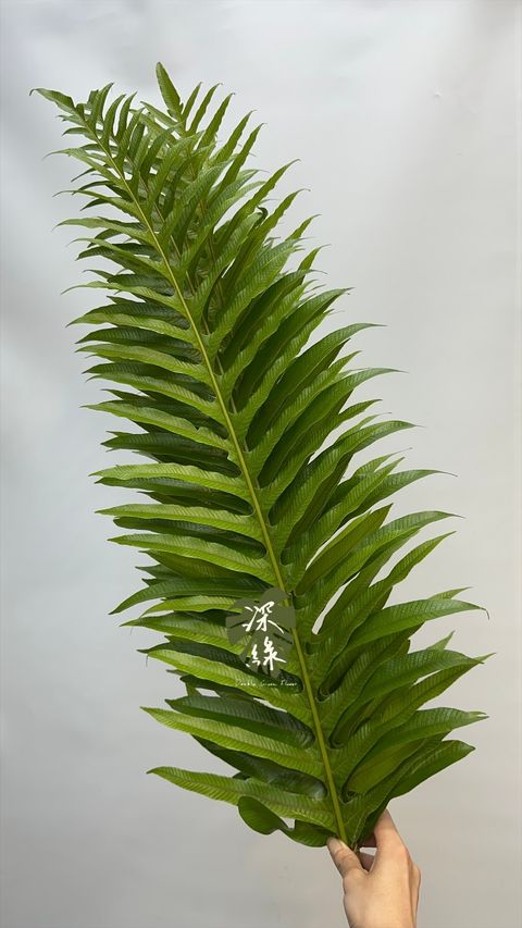 image_D4AE23E7-F35B-4458-8297-585E36D2819B_1776549316