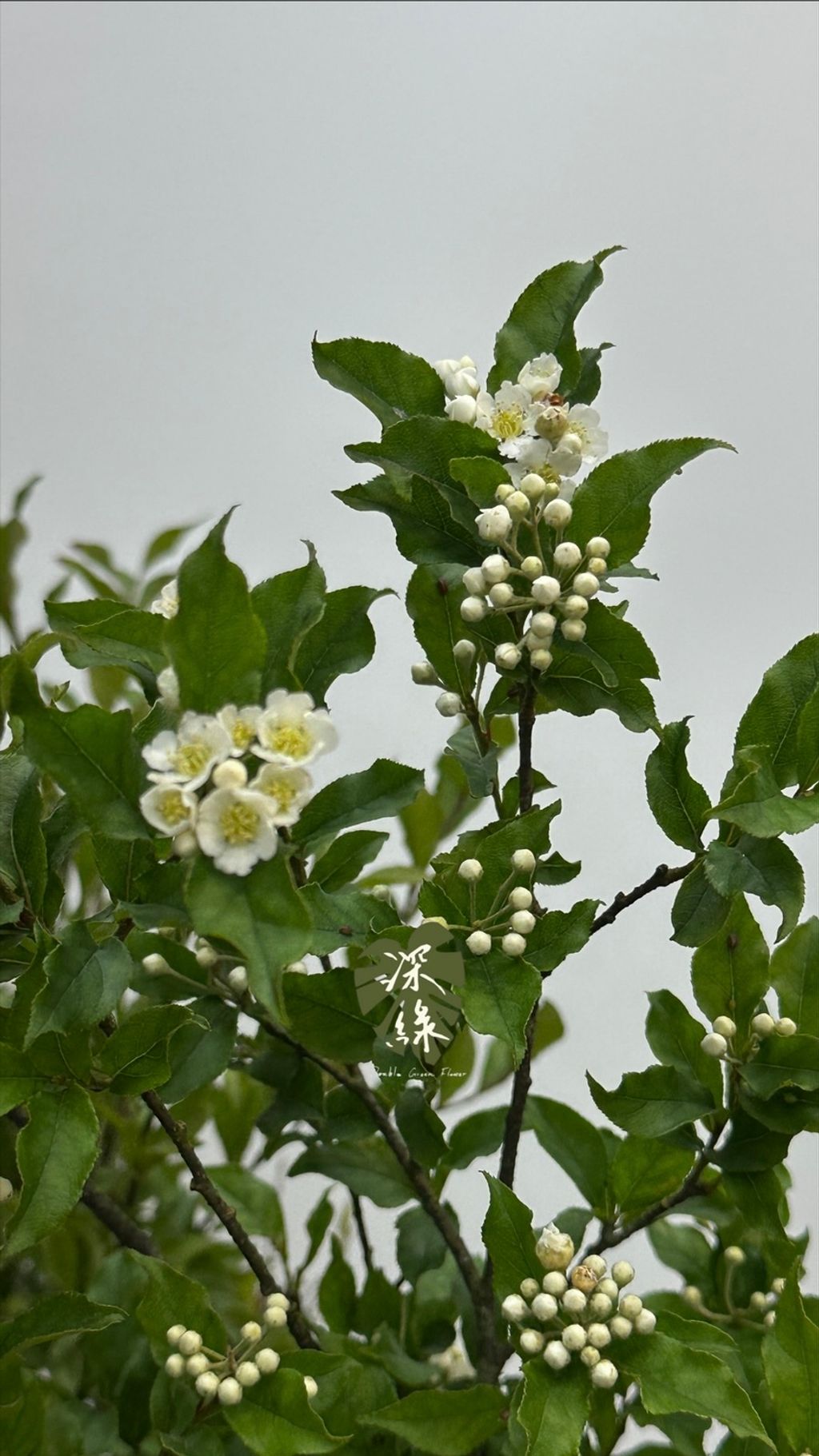 image_FD86FA33-2C7E-4BE0-AE7D-8038EA184F49_1776549412