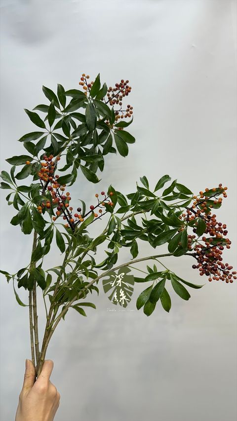 image_BBBDA687-C068-4784-B854-3DB460F4C0FE_1776549492