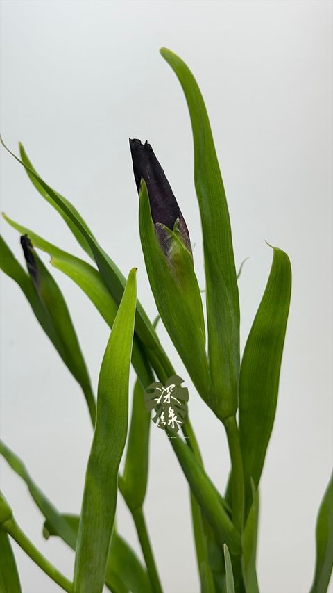 image_EEA79B5E-4253-4CD6-8948-84CBB542C183_1776549591