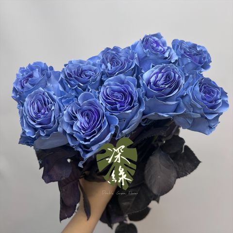 image_34AB83C6-0CBE-4D89-A645-490777A4BD04_1776575102