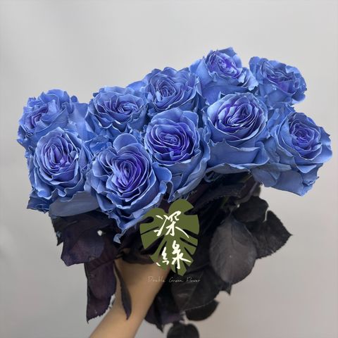 S__28278792