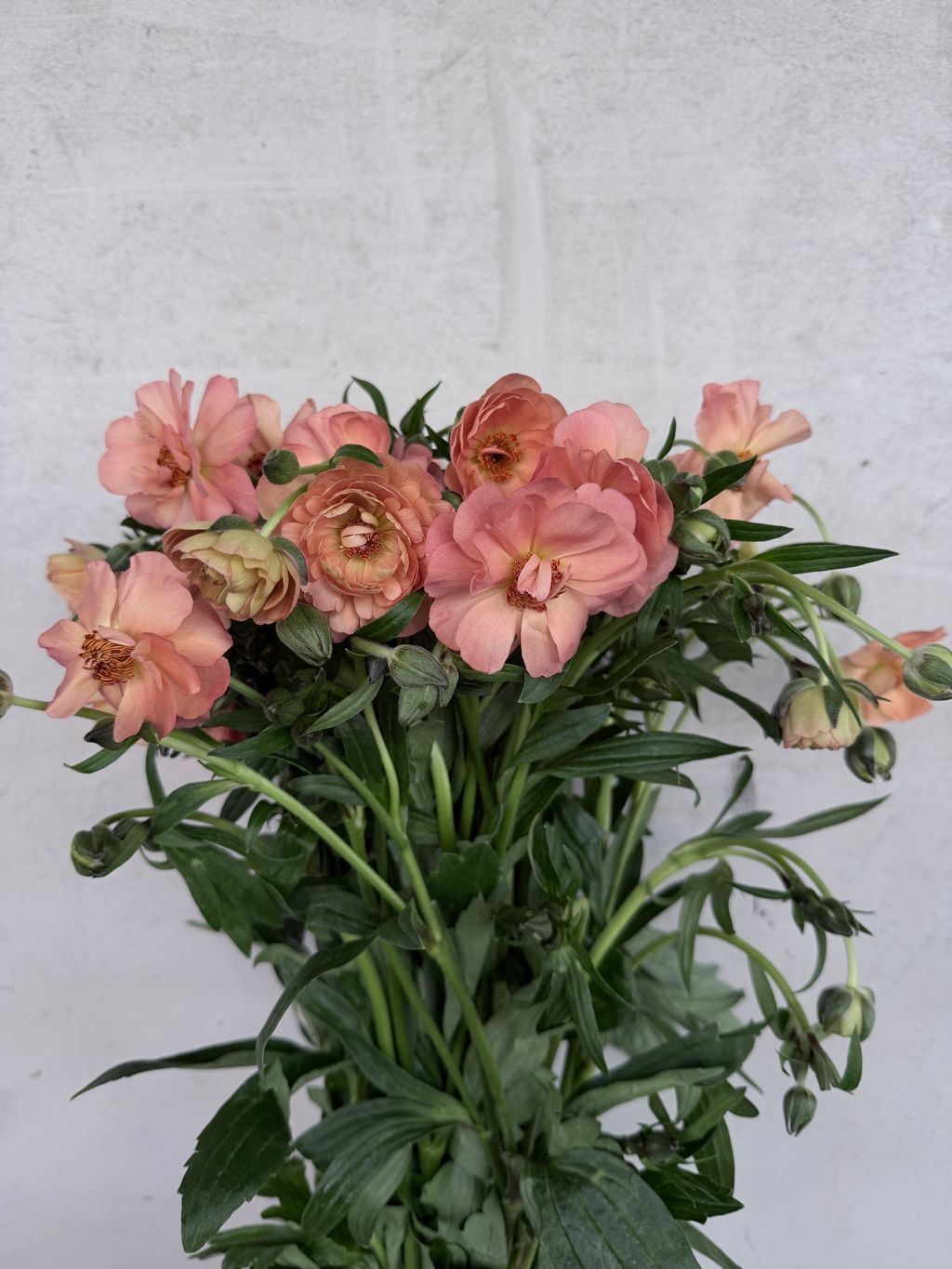 image_10A47B94-77D2-44CA-BC82-BD5A17A8DDEC_1776578026