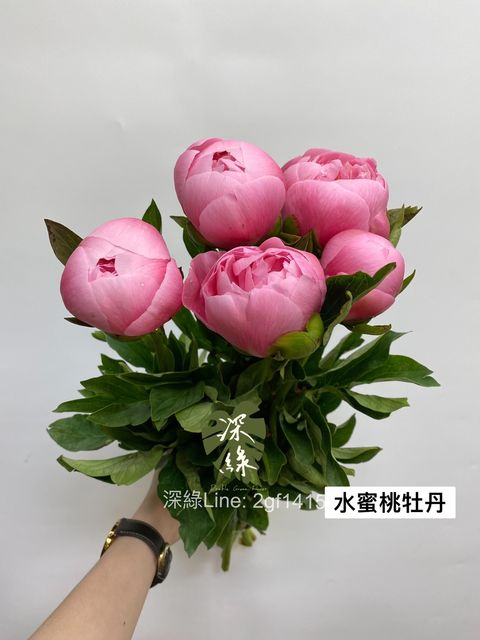 BEA4F7AD-C29B-4505-80E5-CA4117005485