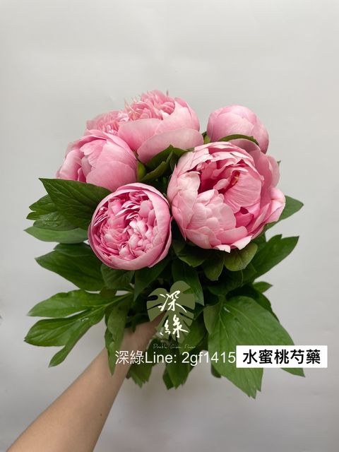 EF4908F3-0F9E-4F17-B1A1-CF858DD6E47F