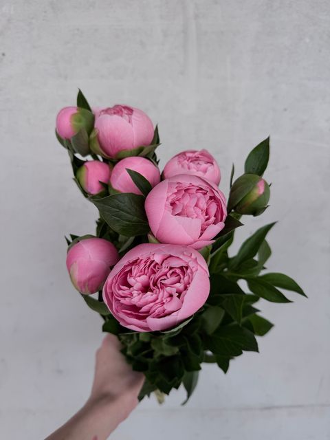 image_B5FA7A96-4924-49AA-ADA8-73EBE581473D_1776578678