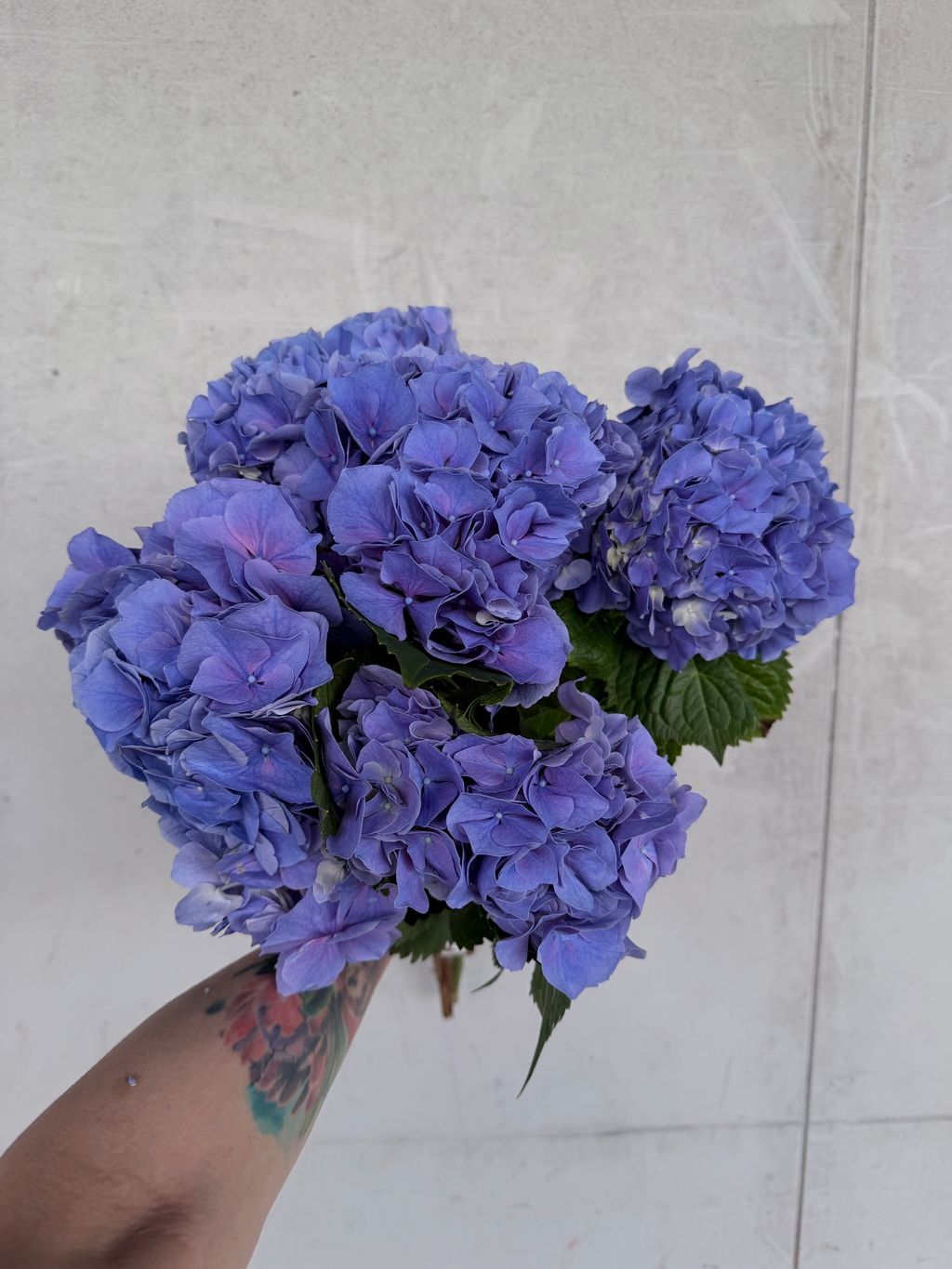 image_5D17B220-A178-4DC3-8AB8-9D3988D94E2E_1776580209