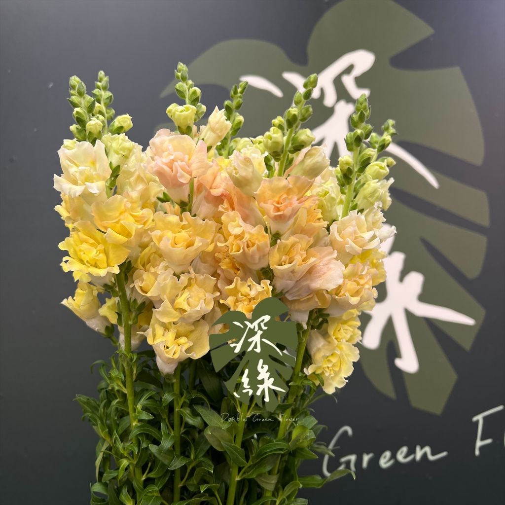 image_C63FDB9D-8495-4F26-8749-0F3D142CE6E9_1776655348