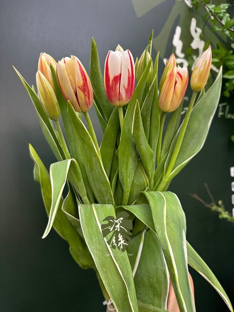 image_BDABCDC0-C744-4502-A071-ACACA10D6635_1776665068