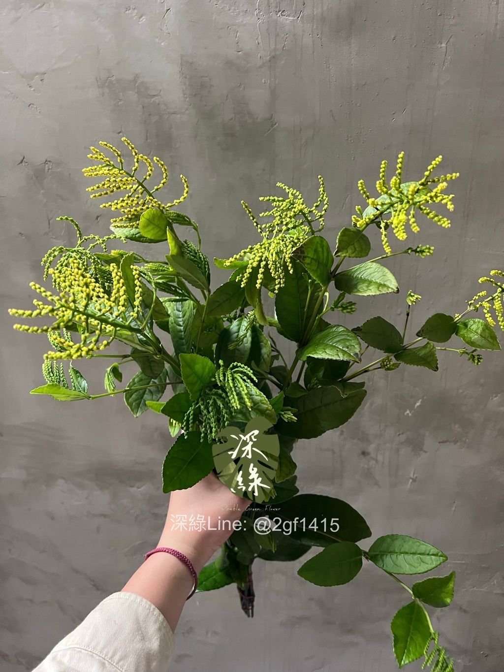 image_27DE1B09-3F1A-4B75-8774-8E41D7AACDF8_1774339415