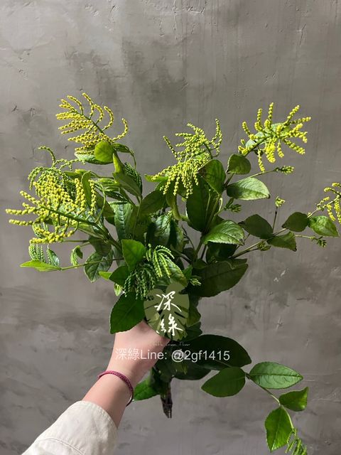 image_27DE1B09-3F1A-4B75-8774-8E41D7AACDF8_1774339415