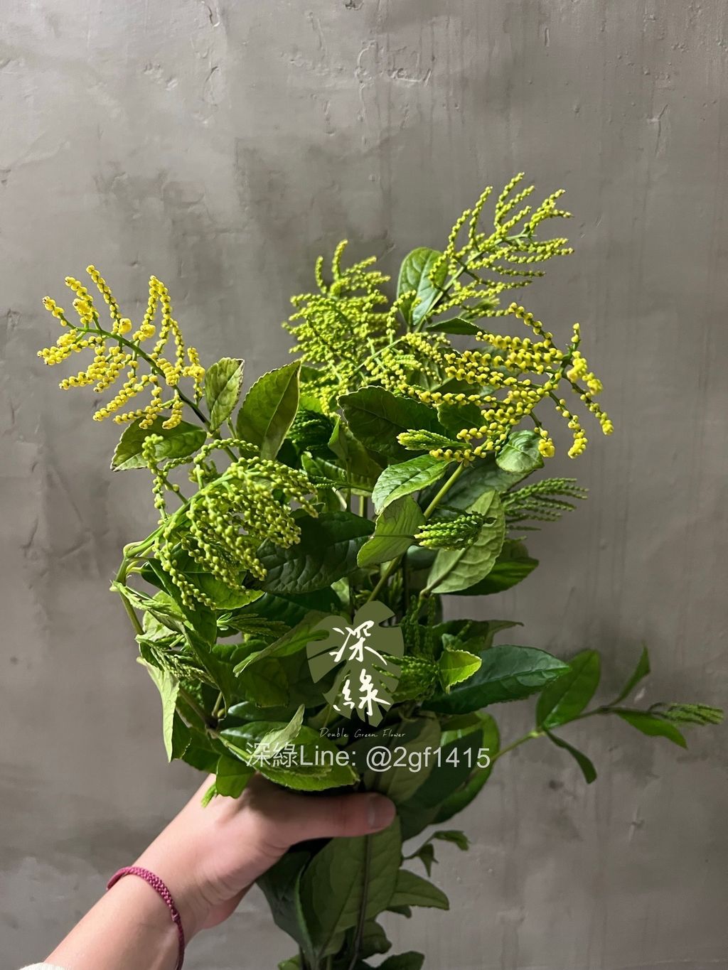 image_EE79CDE1-60EE-4AAE-A64F-7BE4381BEA77_1774339415