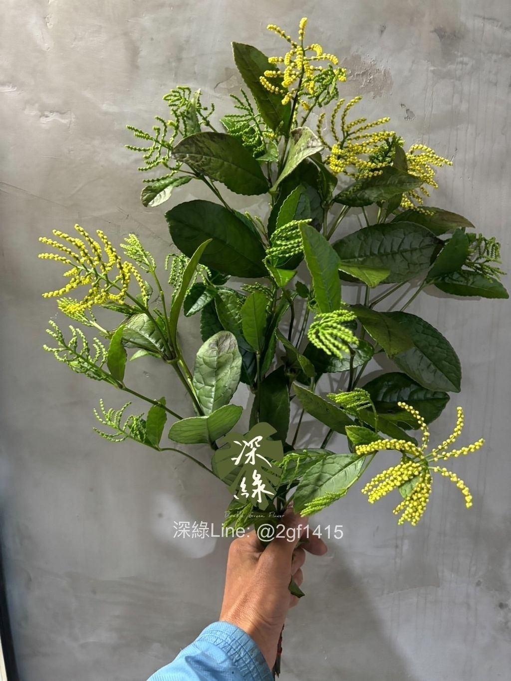 image_4A3D4055-4389-4411-B67D-19A07F10B1A9_1744539645