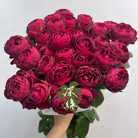 image_CC5E5B30-345C-4A43-A540-BD374E68F818_1772072971