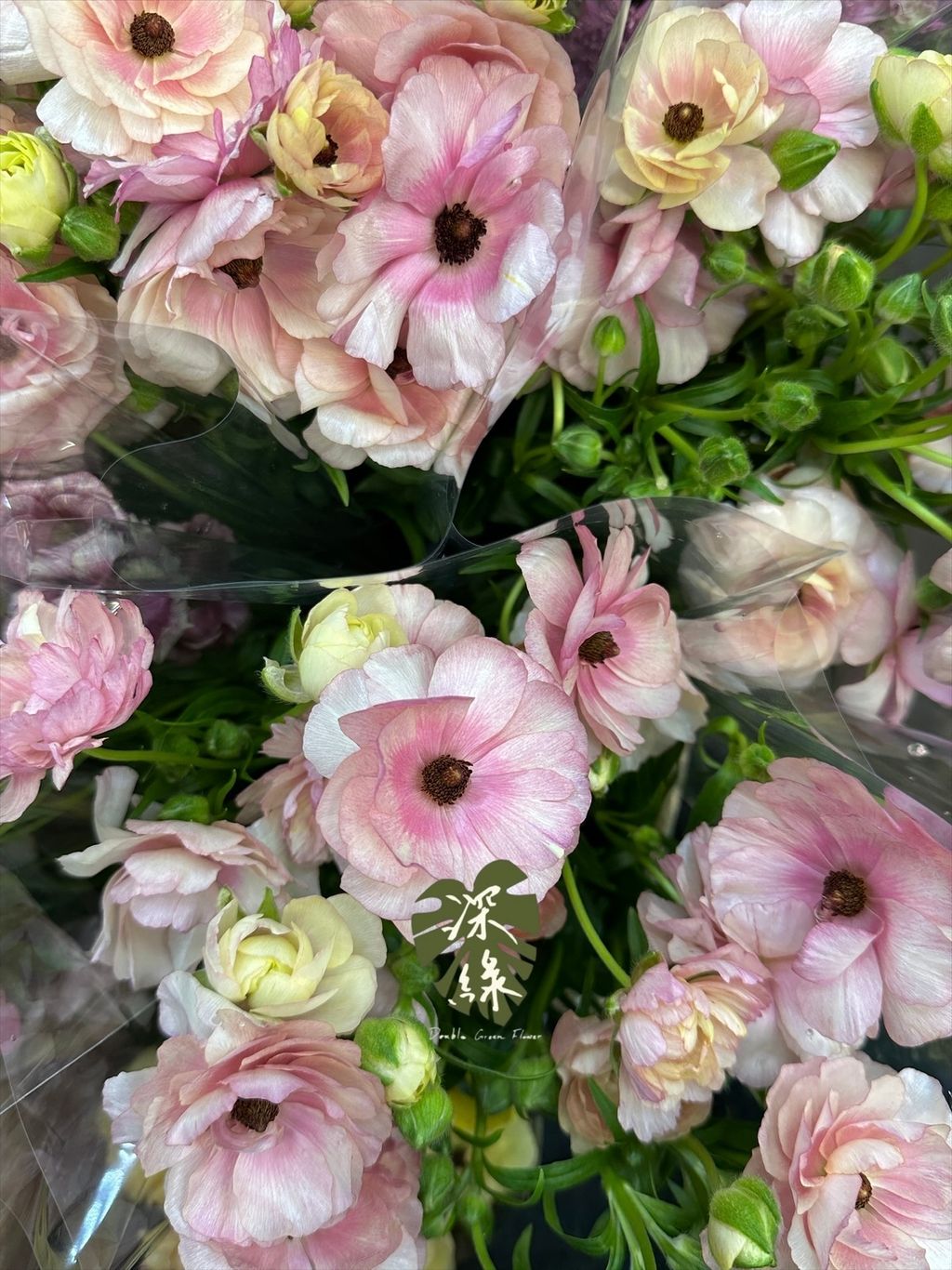 image_2293BD64-6D49-4934-8467-30DFE510DC2F_1776665244