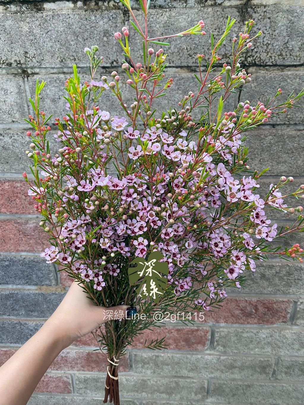 image_A0C68E3B-A3BB-4B5C-8A73-7E23E2F7D6A3_1776755140