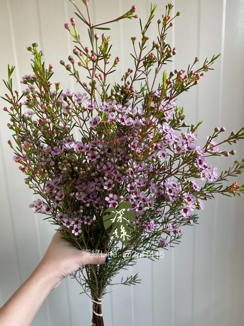 image_3D7C8F3B-8CFA-420F-9AD1-3CEBF38CFA4D_1776755141