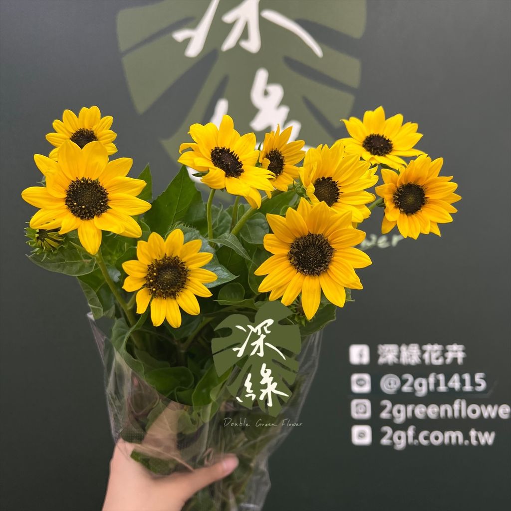 image_650A6ABE-4900-407B-A2C2-71473DDE7FFF_1776907556