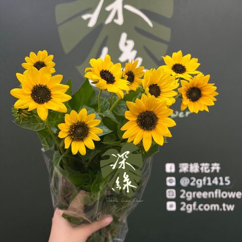 image_650A6ABE-4900-407B-A2C2-71473DDE7FFF_1776907556