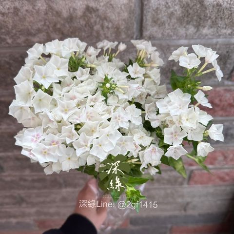 image_BB36ED19-E82D-493E-8D74-E30DB2565F64_1776915021