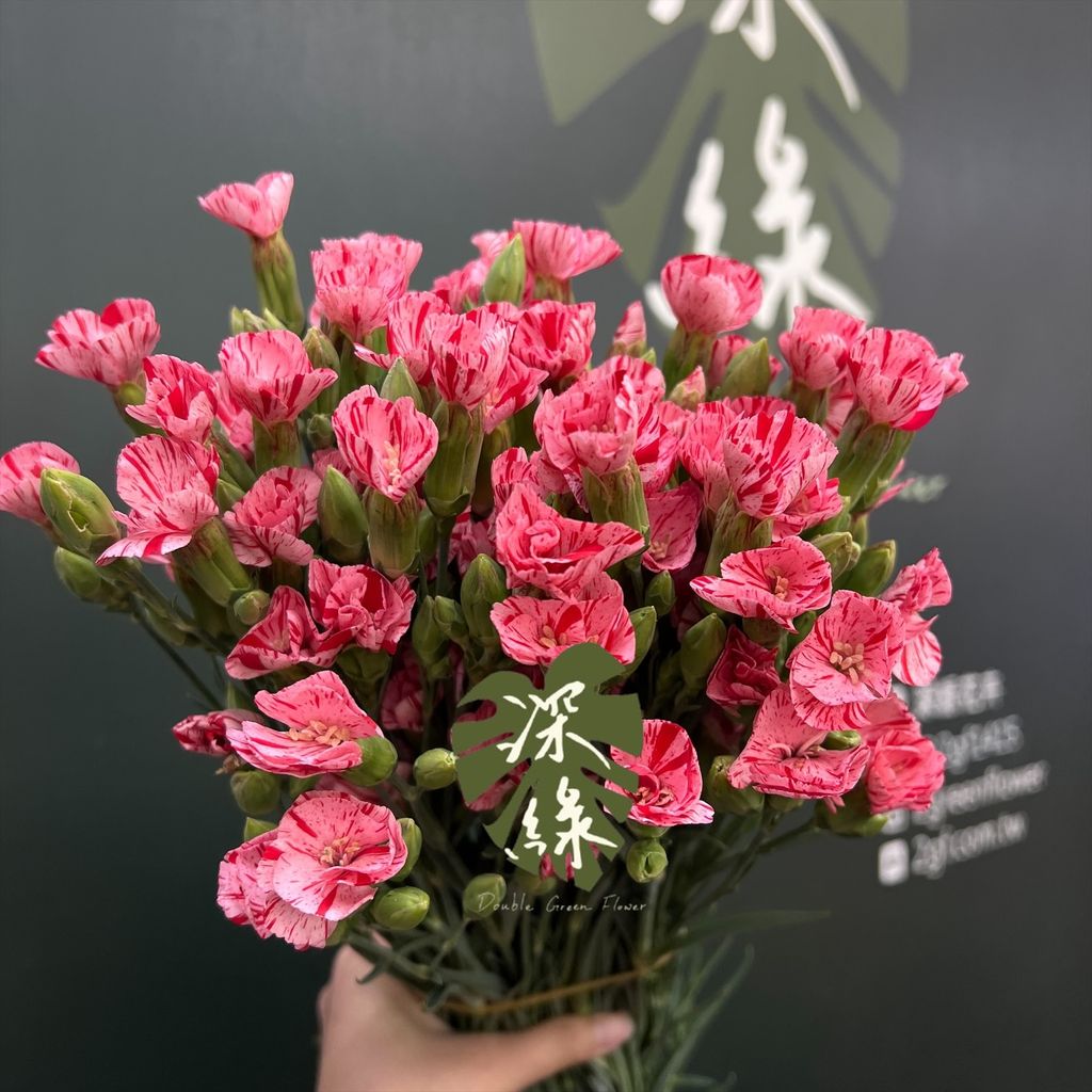 image_57D3D852-0808-4AA4-BB22-EAE4C2B692B6_1776916023