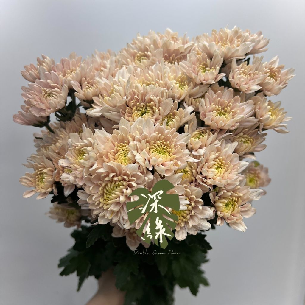 image_3C022845-E9D6-4004-9B6D-87A06AD99C91_1776917110