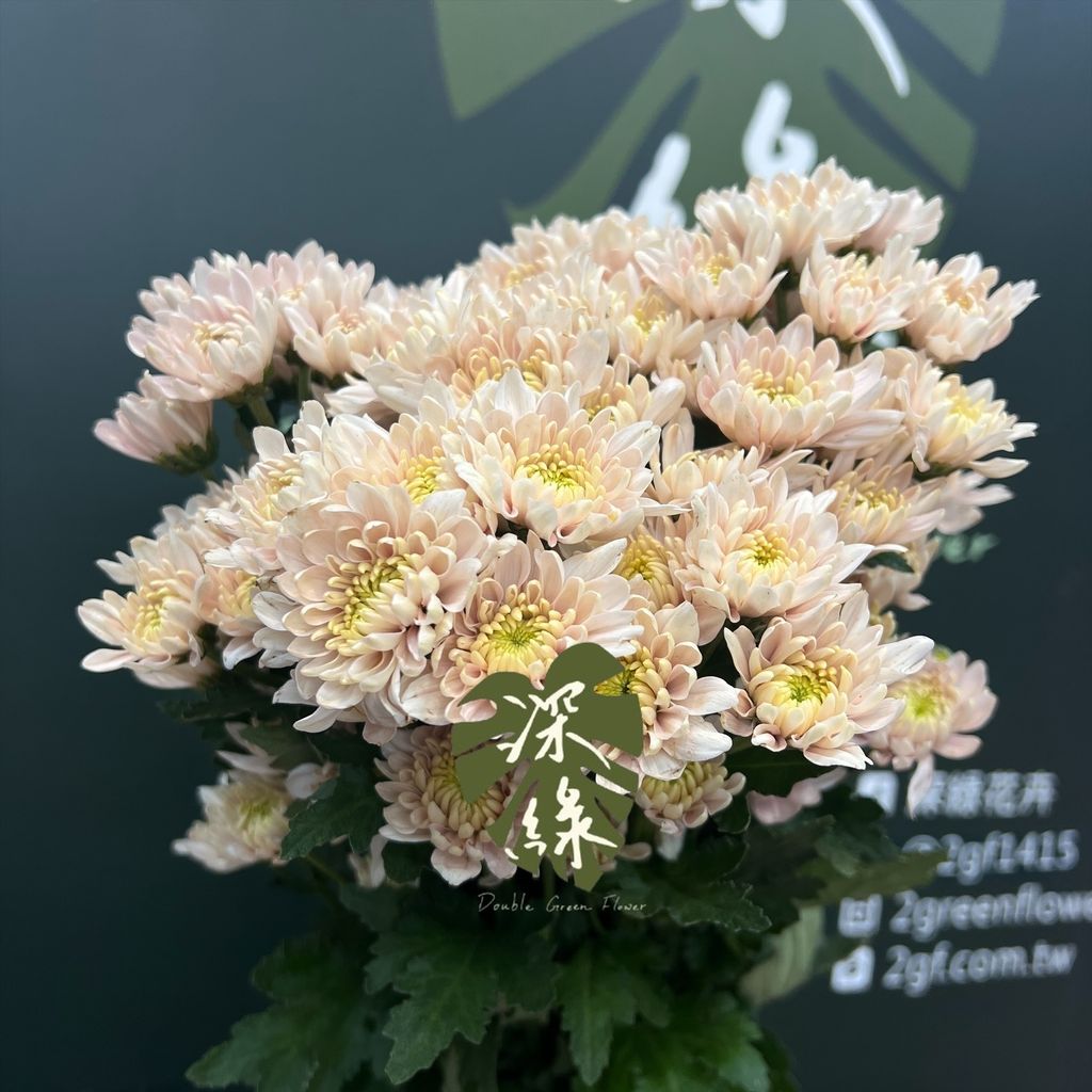 image_D2EBC704-7584-41A5-9DAF-B29C827566D4_1776917110