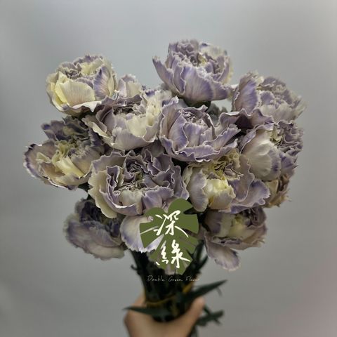 image_1C07E6A6-CAD8-4713-86C7-E8EEF7009265_1776924217