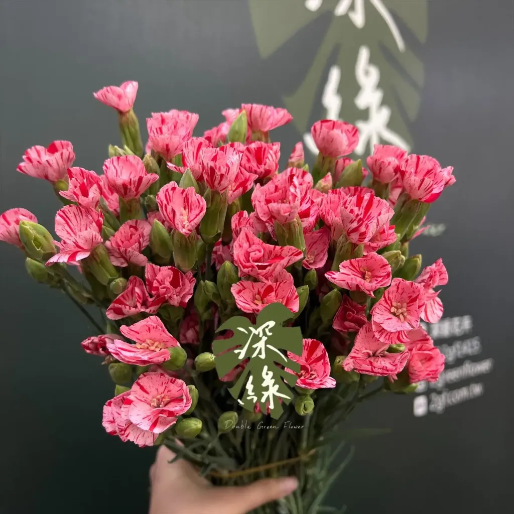 image_57D3D852-0808-4AA4-BB22-EAE4C2B692B6_1776916023