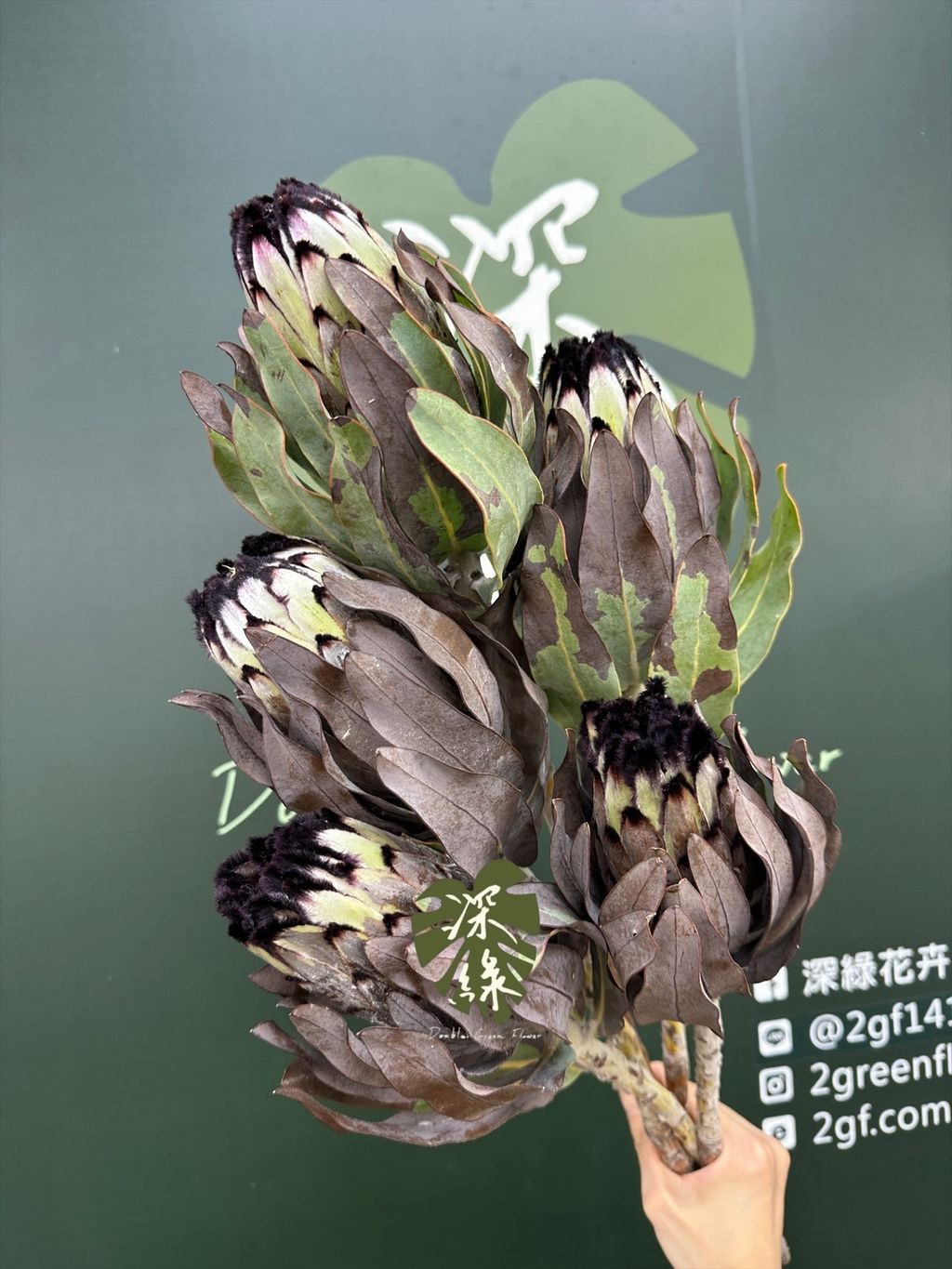 image_E4739A41-1FFE-4624-916E-4AC4780523B5_1776997747