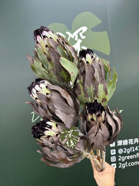 image_E4739A41-1FFE-4624-916E-4AC4780523B5_1776997747