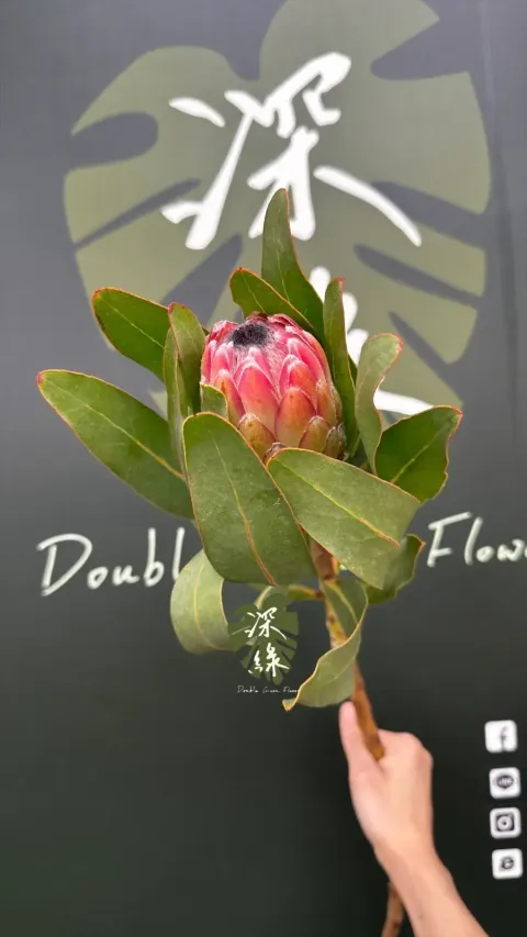 image_BBC234E6-C7A8-43DD-BF72-D4702F2BA50B_1775539728