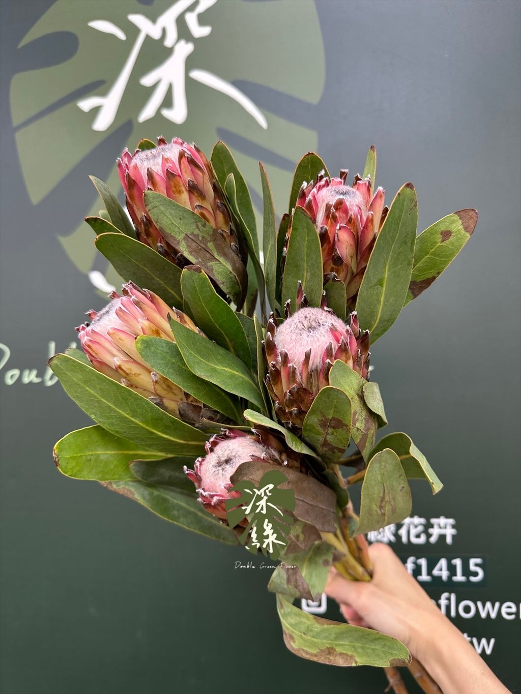 image_6EAFD37A-9669-4057-B878-373883965B61_1776997785