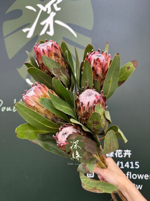 image_6EAFD37A-9669-4057-B878-373883965B61_1776997785