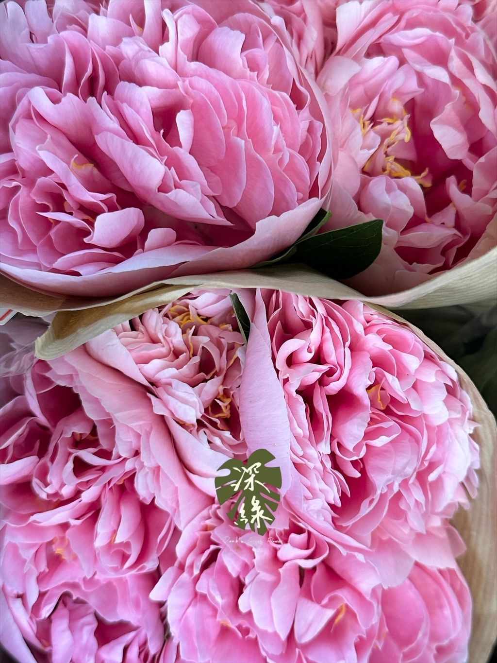 image_A9229C32-7258-414E-89B5-9C2B89A1D10F_1776999159