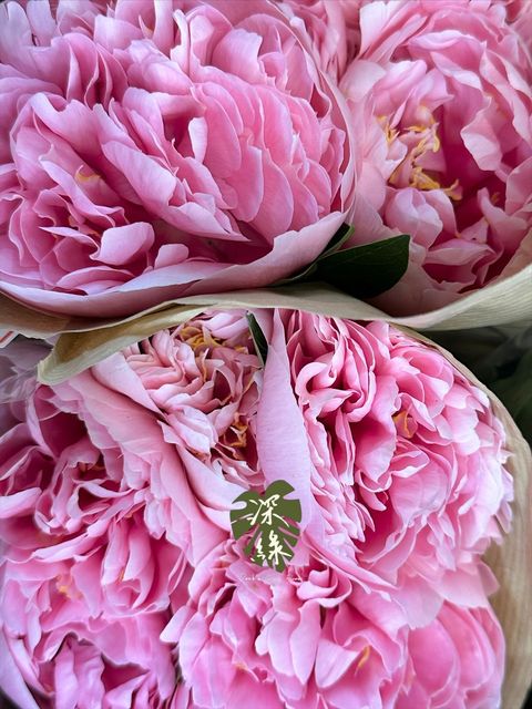 image_A9229C32-7258-414E-89B5-9C2B89A1D10F_1776999159