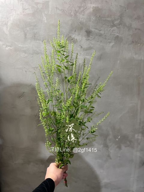 IMG_2153-1715590142350