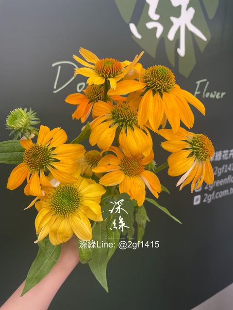 image_622A4A0D-169D-4C89-95C6-D6A6784AB688_1777266253