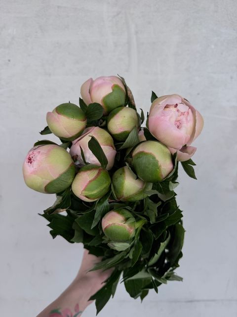 image_F26DD92E-EBE8-4313-A6B0-A399624D5DD8_1776578718