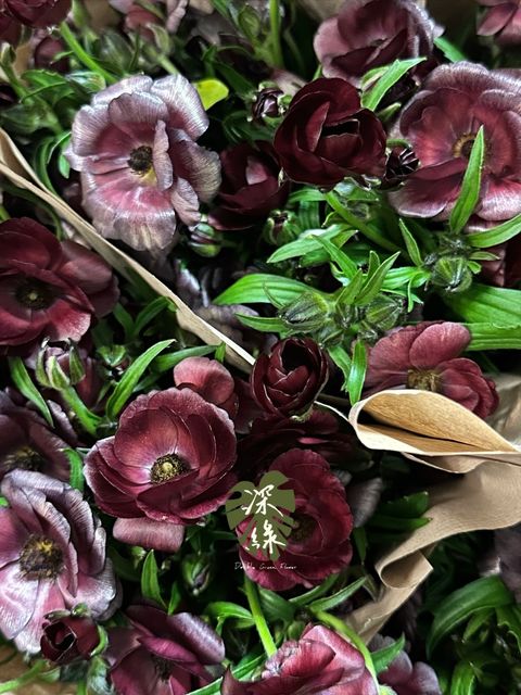 image_DC5C36A6-B32B-4978-88CD-C52D0EE22265_1777287446