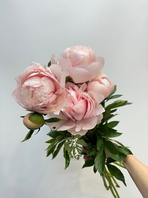 image_D271481E-5584-4046-A478-870FC1A43017_1777287480