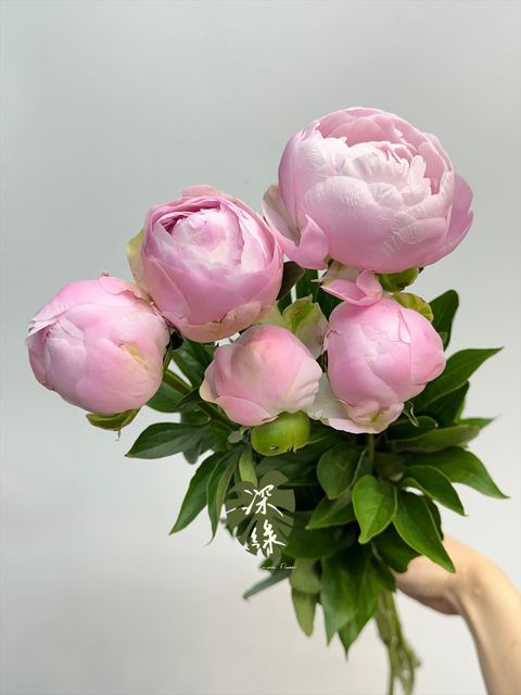 image_88AFDC2A-5E0E-4F8B-9FAA-625E354D5A15_1777287500