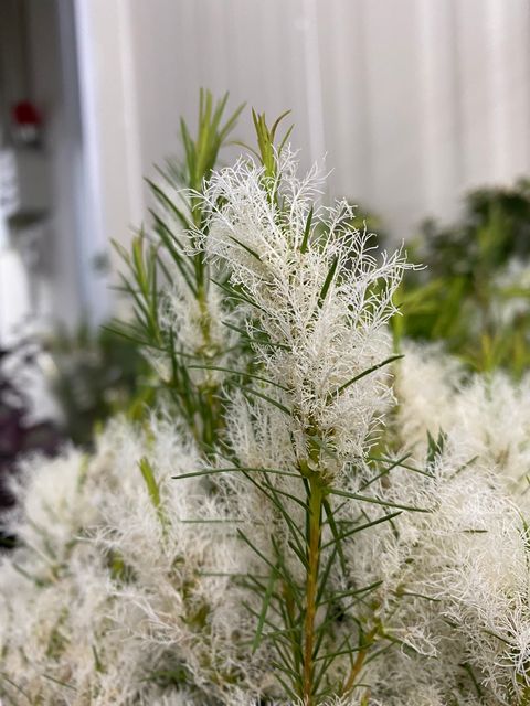 image_5C97BE06-B8E6-4CC1-B030-88A7EA53C564_1745311990