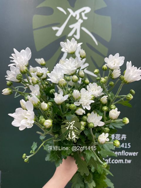 image_15327831-C0A2-4C6A-BFDA-A48F3BBE2805_1777357297