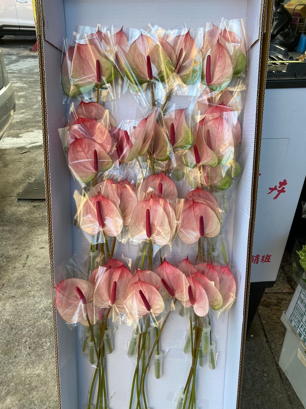 IMG_6131-1732529117284